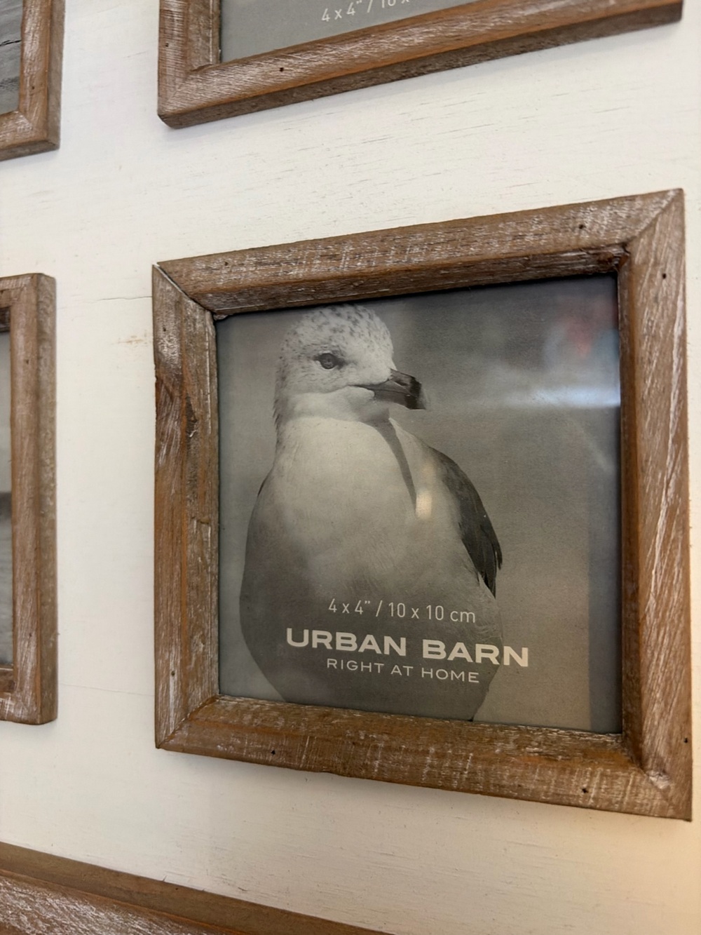 Urban Barn Wall Organizer Chalkboard Photo Frame Key Hooks Farmhouse Rustic New - Picture 10 of 10